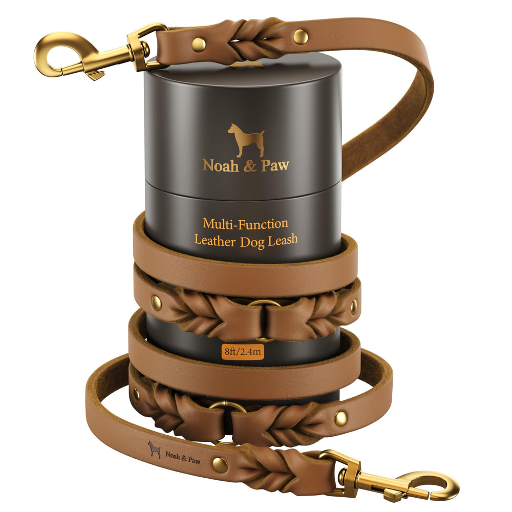 Correa de cuero aceitado Noah & Paw, aspecto elegante para paseos diarios.