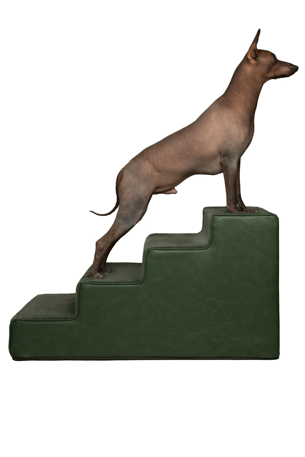 Noah & Paw escalera para perro de 17 pulgadas, ancho óptimo para camas altas.