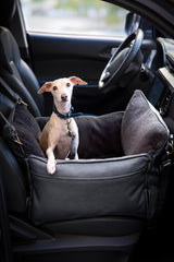 NOAH & PAW: lazos para cinturón del coche, seguridad reforzada durante viajes.
