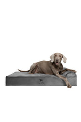 Cama NOAH PAW XL completa para perros, confort y soporte.
