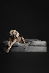 Cama NOAH & PAW XL con funda exterior lavable y removible para higiene