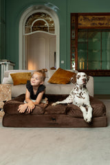NOAH & PAW XL espuma memory de tres capas para soporte suave