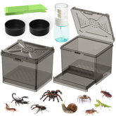 NOMOY Kit de Hábitat para Insectos Pequeños, vista frontal de la caja lista para usar
