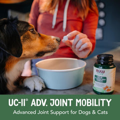 NOW Pets UC-II® uso en casa para movilidad confortable de perros y gatos
