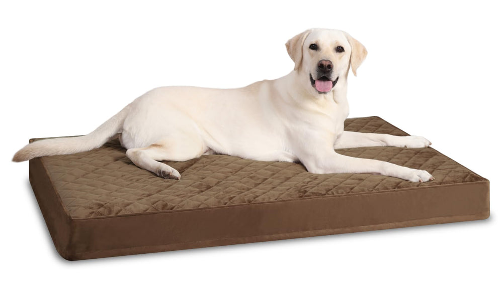 Cama ortopédica NUPIDA XL con funda lavable para perros grandes.