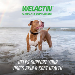 Welactin de Nutramax masticables suaves para uso diario de perros.