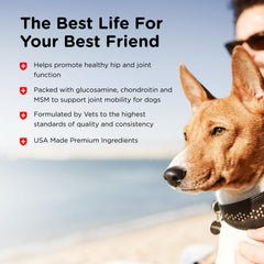 Nutri-Vet comprimidos suaves para perros, sabor hígado, apoyo articulaciones y comodidad.