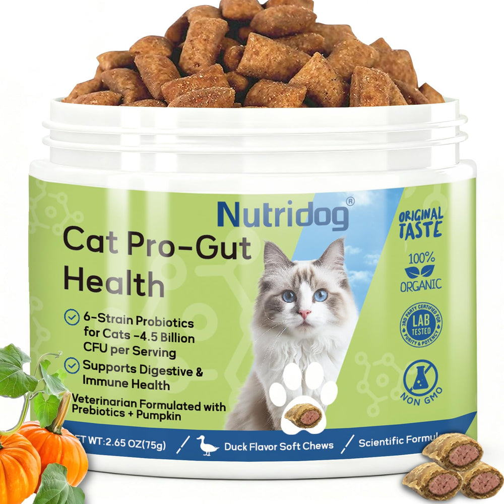 Nutridog Cat Probiotic: textura dual crujiente-cremosa para mayor palatabilidad y apoyo digestivo diario.