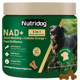 NutriDog NMN con dosis 40 mg para perros y energía celular