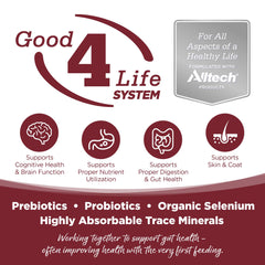 NutriSource fórmula con granos incluidos para todas las fases.
