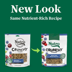 Tazón con snack natural de Nutro para perro sabor bayas reales