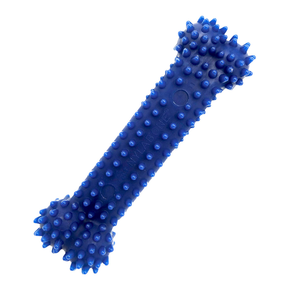 Nylabone hueso dental texturizado para mordedores moderados ayuda a limpiar dientes