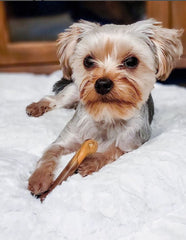 Hueso Original Potencia para perros pequeños: forma icónica que impulsa masticación saludable.