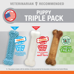 Hueso de poder Nylabone para cachorros, duradero y seguro