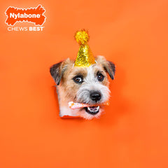 Nylabone masticable extremo, muestra una mordida intensa para perros.