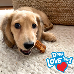 Nylabone Nubz hecho en USA garantiza calidad y seguridad para perros jóvenes.