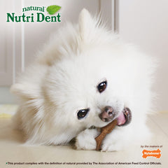 Nutri Dent sin colorantes ni conservantes artificiales.