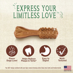 Nylabone Nutri Dent mordedor sabor lomo de filete mini