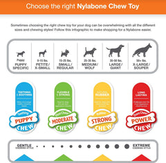 Nylabone TFH Fun N Fit Flex Oval RNG MD con textura rugosa para limpieza suave durante el juego.