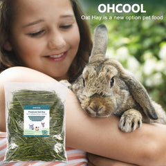 Ohcool conejillos de indias masticando heno de avena