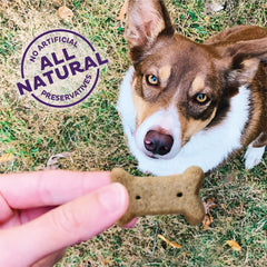Bac'N'Cheez con ingredientes naturales para perros