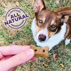 Old Mother Hubbard Wellness P-Nuttier, sabor mantequilla de cacahuete, premio para perros.