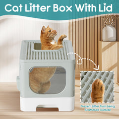 OLIXIS interior espacioso ofrece libertad de movimiento para gatos adultos y gatitos.