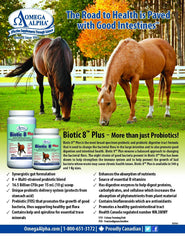 Omega Alpha Biotic 8: polvo probiótico para incorporar en la ración diaria de caballos.