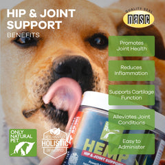 Only Natural Pet mejillon verde y curcuma: nutrientes para articulaciones.