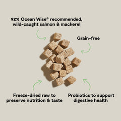 Probif3ticos en Kitty Cubes para apoyar la digestión de tu gato