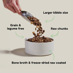 Open Farm RawMix trozos crudos congelados de salmón para perros grandes, proteína de calidad.