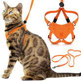 Arnés OutdoorBengal para gatito naranja, listo para paseos seguros.