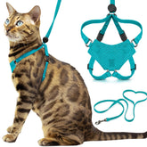Arnés Houdini de OutdoorBengal en turquesa para paseos seguros de gatitos