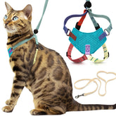 OutdoorBengal Houdini: arnés a prueba de escapes para paseos seguros.