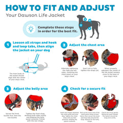 Outward Hound Dawson, ajuste seguro XL, correas regulables y hebillas rápidas.