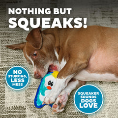 Outward Hound Durablez Minis: chirriadores grandes para más entretenimiento