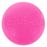 Outward Hound Squeak Ball – Pelota rebote para fetch, ideal en casa o parque.