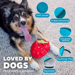 Outward Hound Tough Skinz, sin relleno para menos desorden durante el juego.