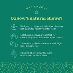 Oxbow Enriched Life: gofre de heno Timothy para jerbos, combate el aburrimiento diario.