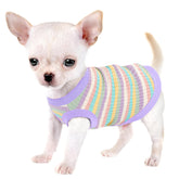 Paiaite camiseta de algodón para perro, ideal para paseos diarios.