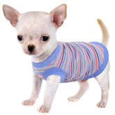 Paiaite camiseta para perros, frontal azul, suave y transpirable para piel sensible
