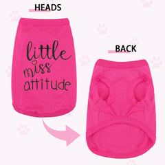 Paiaite camiseta para perros en exterior, ideal para paseos al aire libre.
