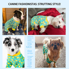 Pijama Paiaite absorbe humedad, mantiene al perro seco en climas cálidos o fríos.