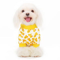 Pijama Paiaite para perro, diseño pato cartoon: estilo divertido para paseos