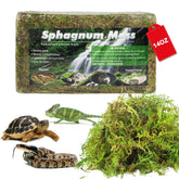 Pakimi musgo sphagnum para terrario, humedad natural para reptiles.