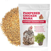 Pampered Chicken Mama molting supplement granulado en tazón, apoyo proteico para plumaje.