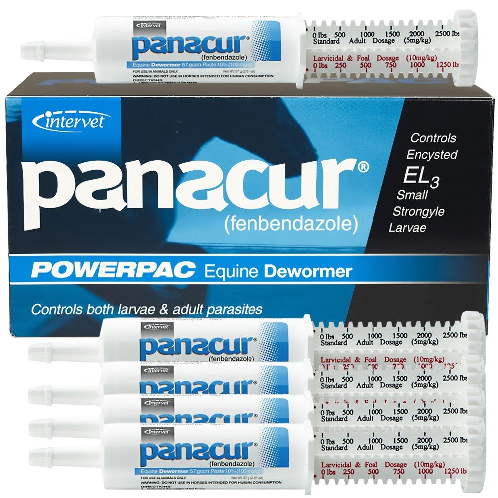 Panacur Powerpac, conjunto de 5 jeringas de 57 g, tratamiento práctico para helmintos equinos.