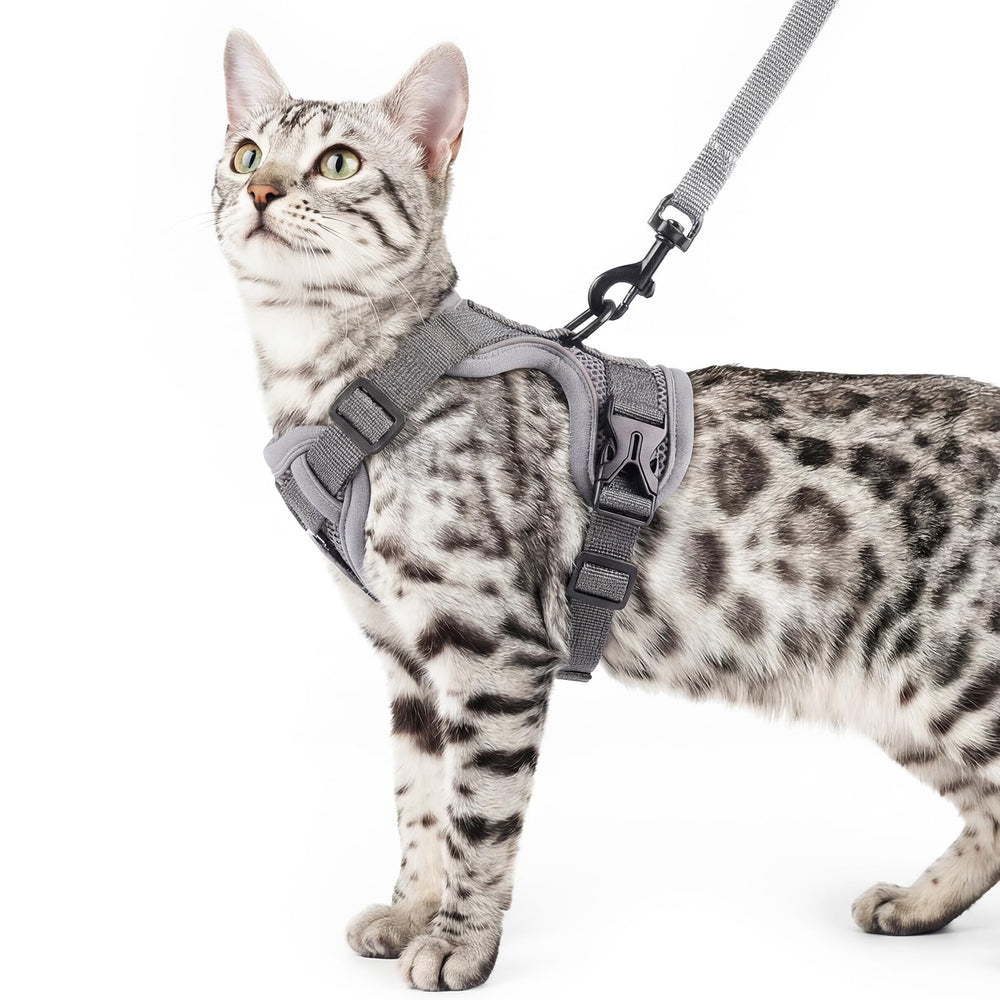 pangdi arnés gato ajuste total XL para control seguro en paseos nocturnos.