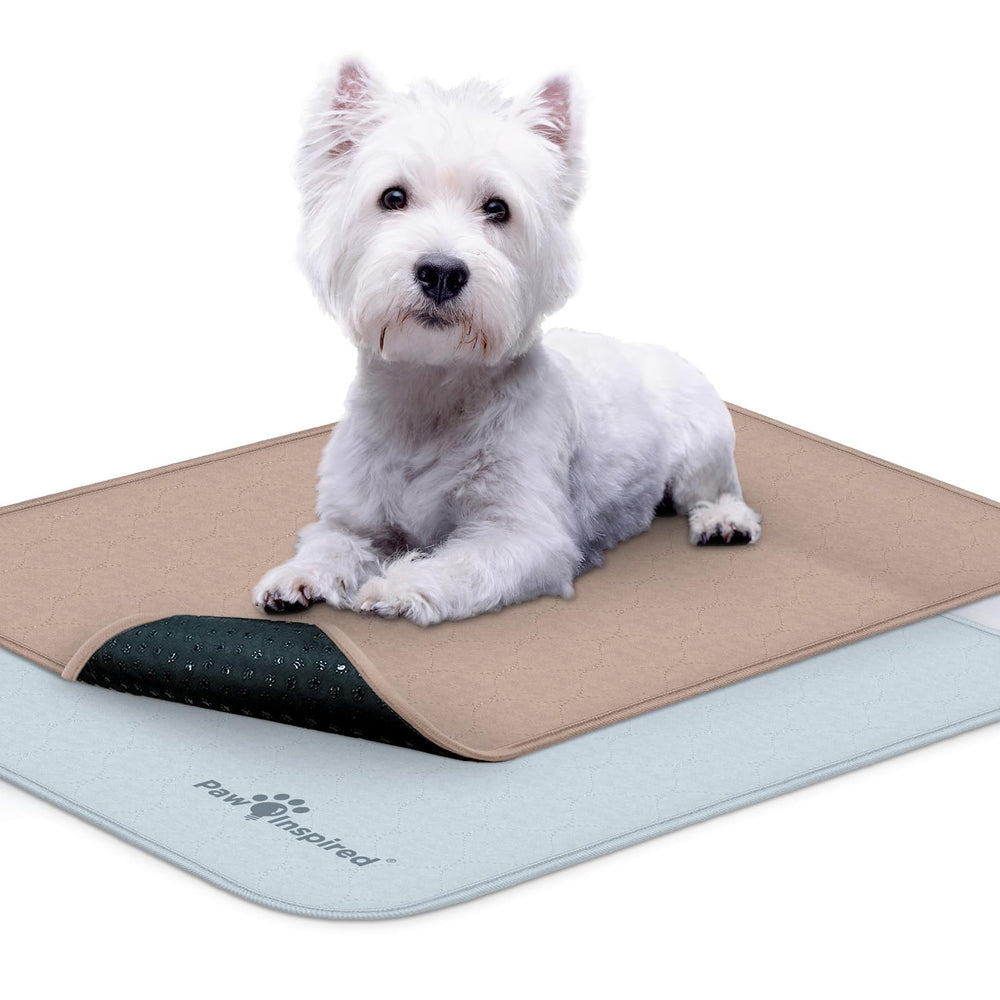 Paw Inspired: almohadilla lavable para jaula de perros 24x18, protege cama y jaula.