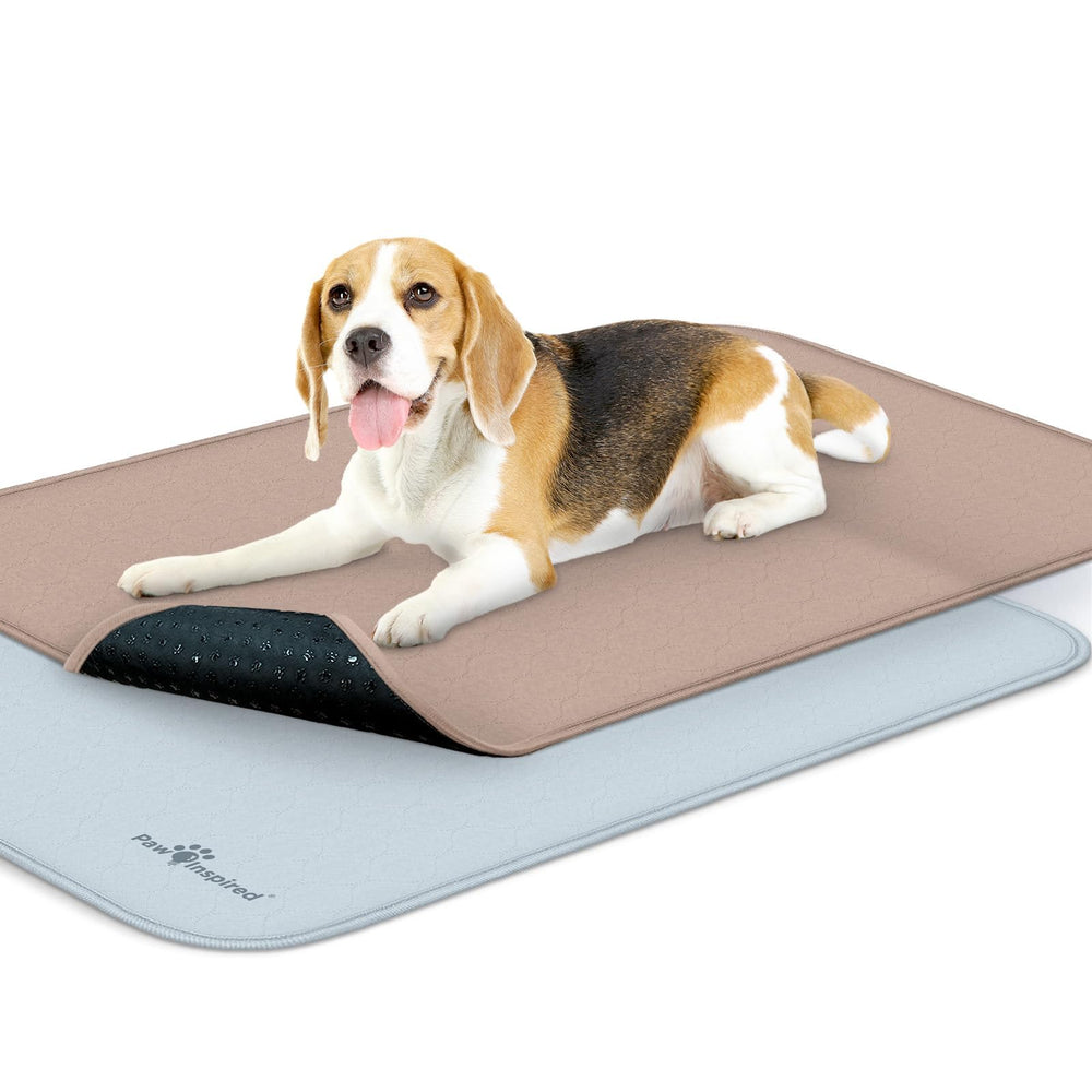 Paw Inspired tapete para jaula de perros 35x22, impermeable y limpio